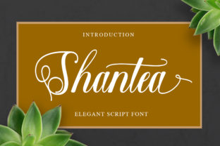 Shantea: A Modern Handwritten Font for Editorial Design
