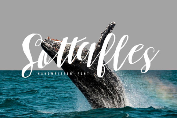 Sottafles: A Friendly Script Font for Campaigns