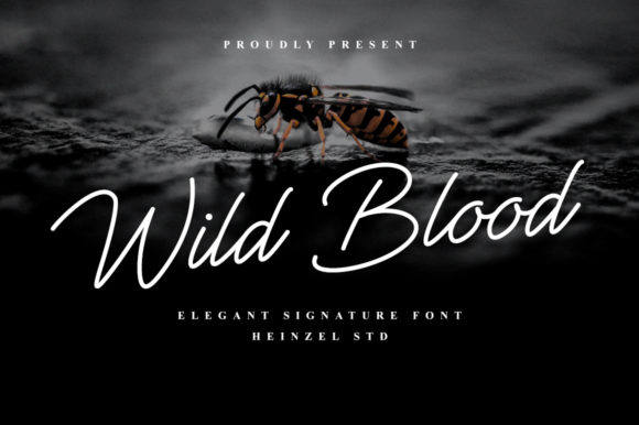 Wild Blood Font: A Campaign Designer's Review